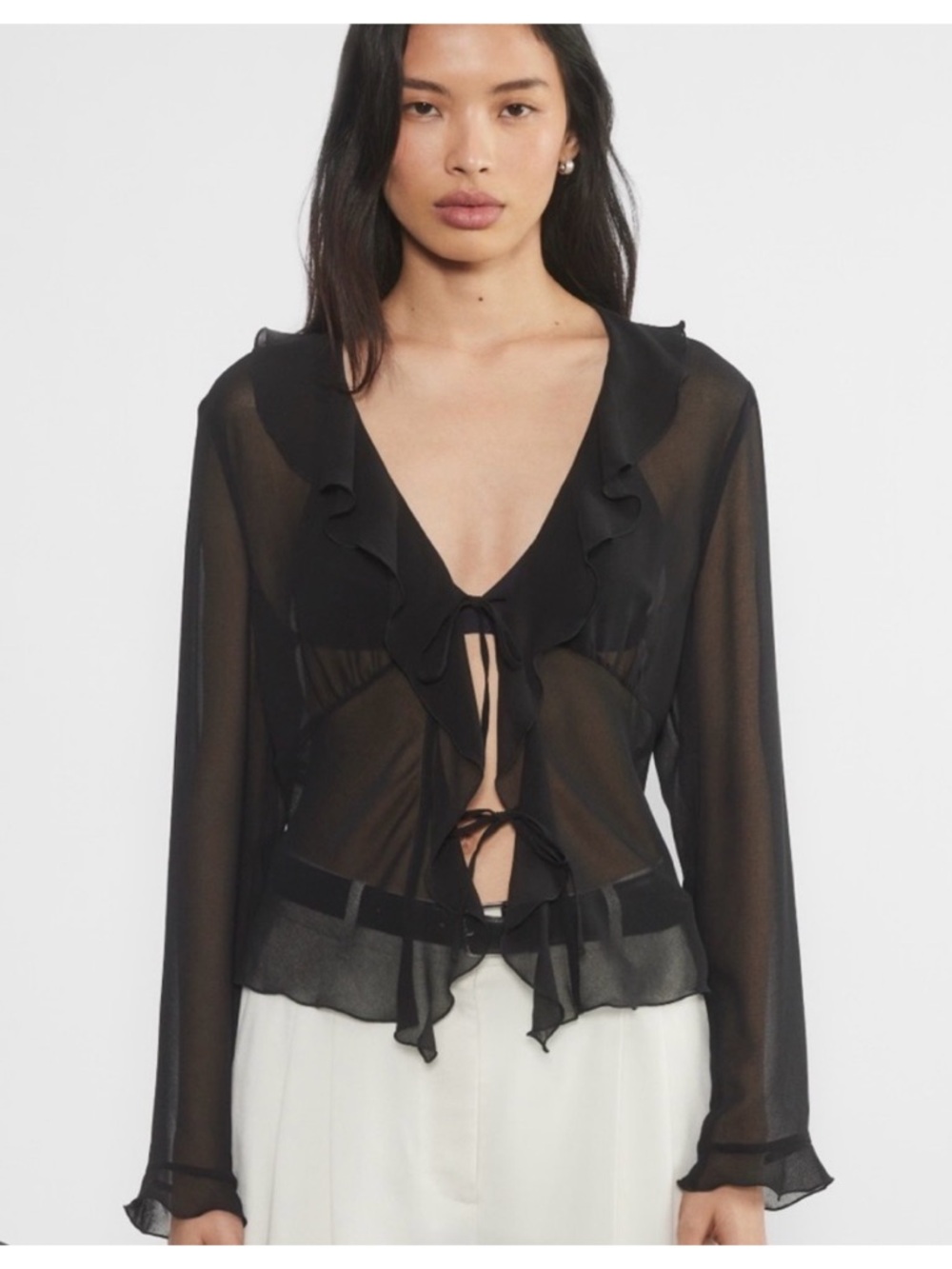Aritzia sheer long sleeve top